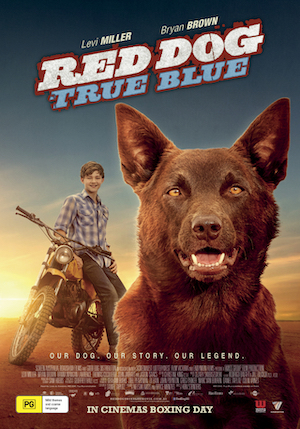 reddogtrueblue