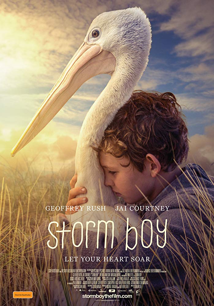 stormboy2